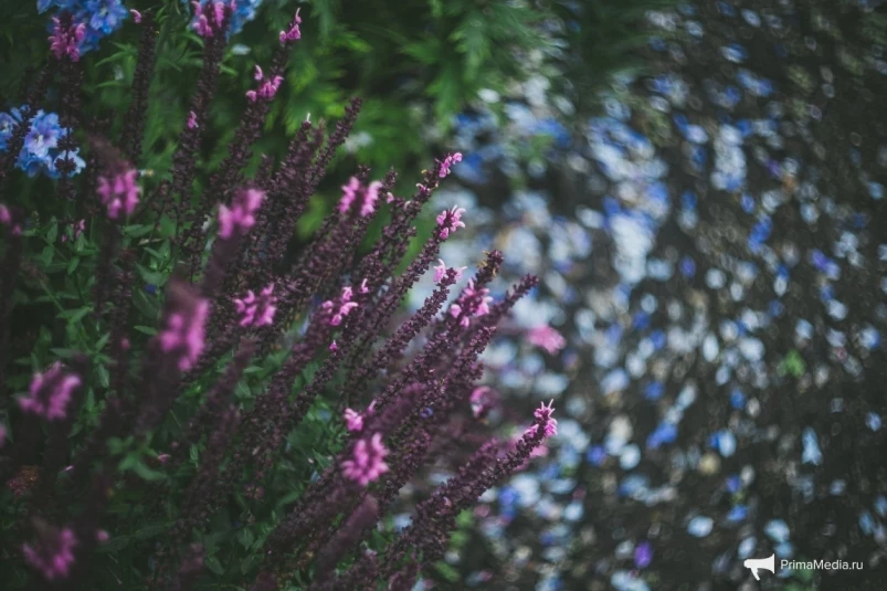 Синоптики обновили прогноз на следующую неделю в Приморье