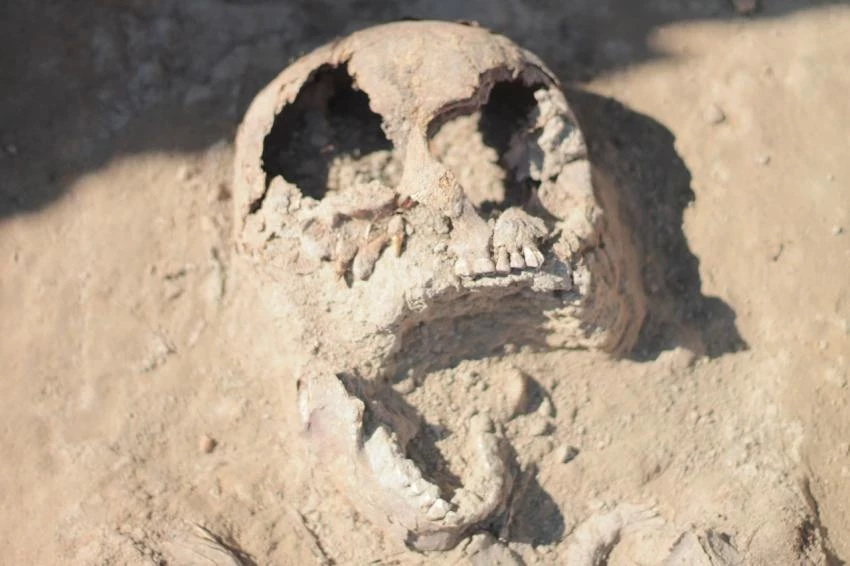 Ученые воссоздали лицо жившей 2000 лет до нашей эры жительницы доисторической Шотландии