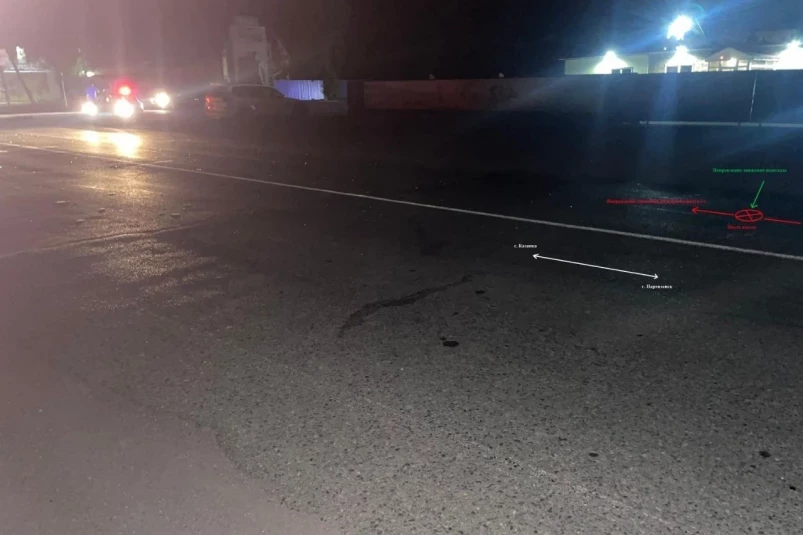 Полиция разыскивает виновника смертельного ДТП в Партизанске