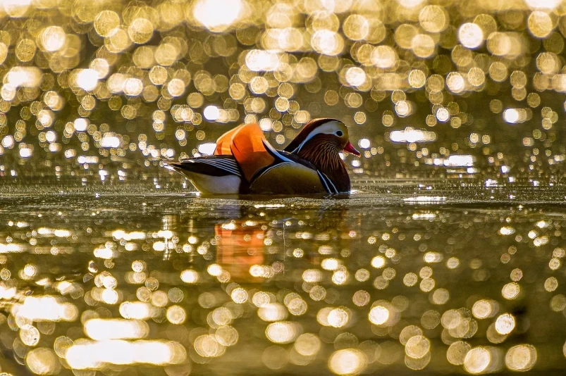 Жителей Владивостока приглашают на обсуждение благоустройства территории Фанзавода