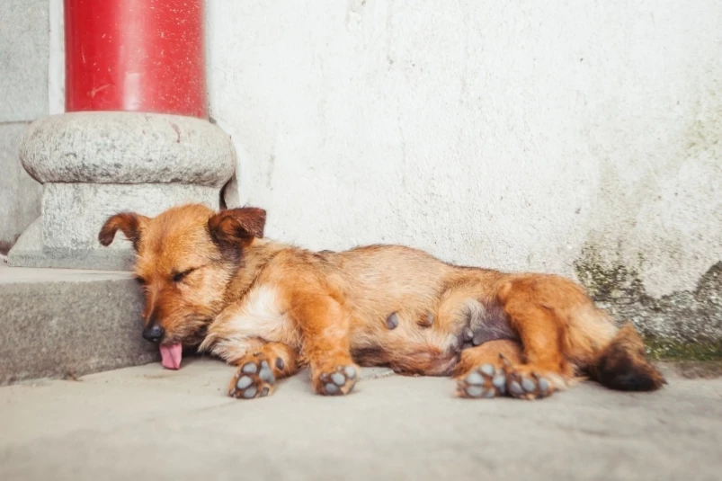 Температура воздуха в Приморье в минувшие выходные превысила норму на 2-9°C