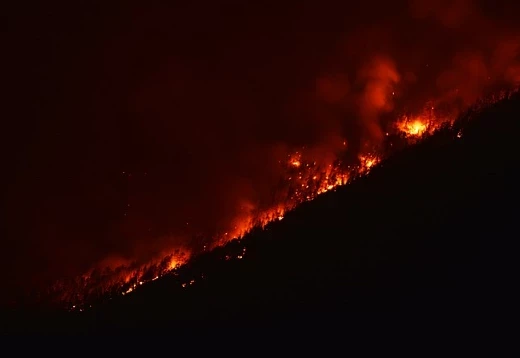 «Турпром» рассказал о «кошмарных» пожарах на популярных курортах Турции