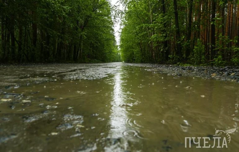 В воскресенье Челябинскую область накроют грозы, похолодает до +21 градуса