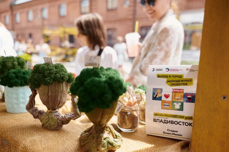 Молодёжные проекты совершили “Выход в город” во Владивостоке