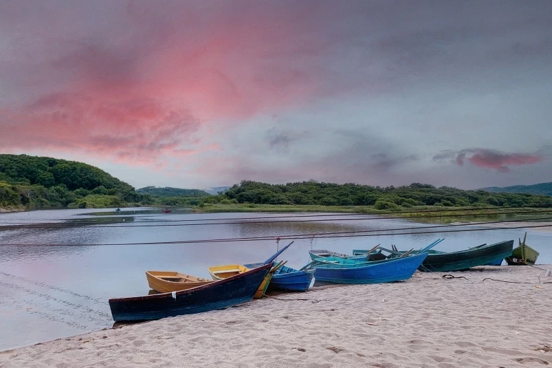 Поиски пропавшей в Лесозаводске девочки привели к трагическим результатам