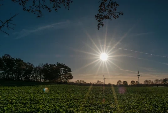 Терапевт Голоухов назвал лучший способ избежать теплового удара летом