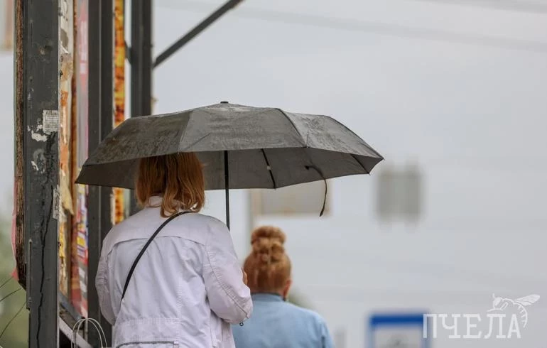 В Челябинской области на фоне похолодания до +1 градуса пройдут дожди с мокрым снегом