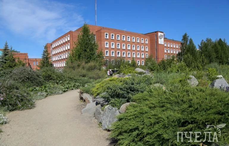 Студентов челябинского вуза освободят от службы в армии