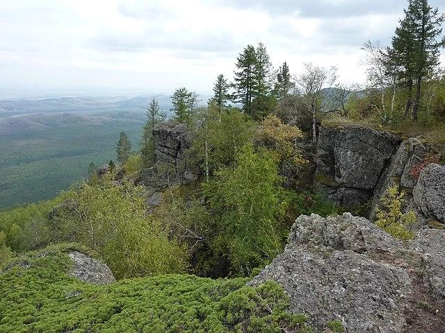 Американец помог однорукой дочери спасти упавшую в утес мать