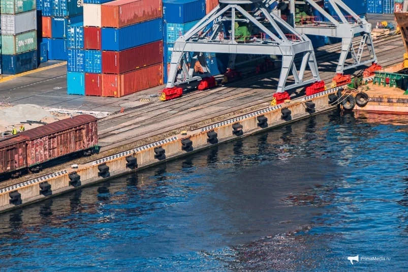 Бывший губернатор Приморья отказался от дивидендов в рыбном порту