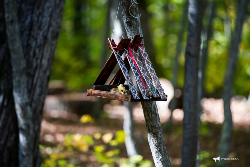 Посетителей Ботсада просят помочь в сохранении птичьего разнообразия Владивостока