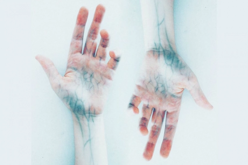 Шведскими учёными найдена причина «болезни викингов»