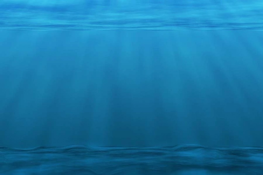 На склоне Марианской впадины биологи впервые обнаружили «магнитные» бактерии