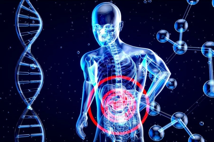 iScience: учёные предлагают новый способ диагностирования колоректального рака