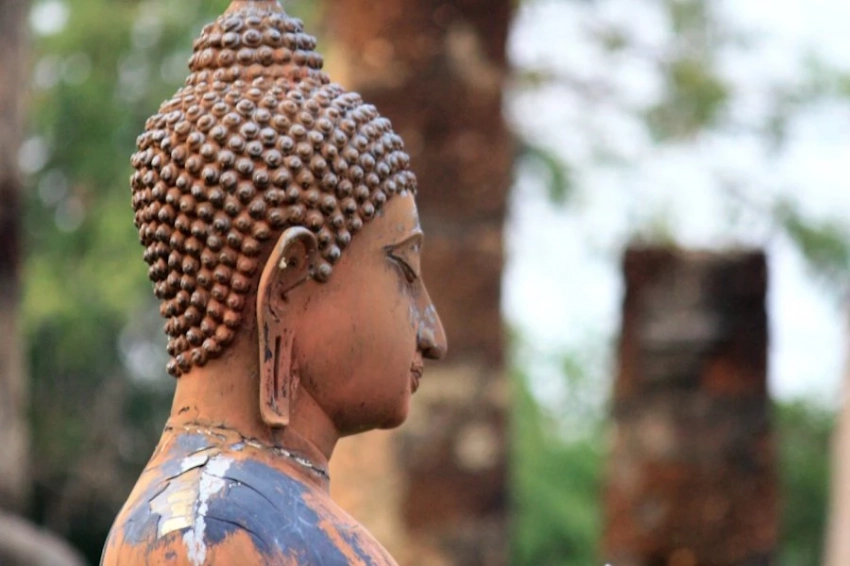 Nauka w Polsce: археологи раскрыли тайну заброшенного города Сопара