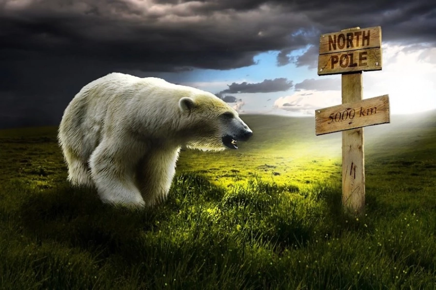 Перекачка подземных вод человечеством и сместило ось Земли