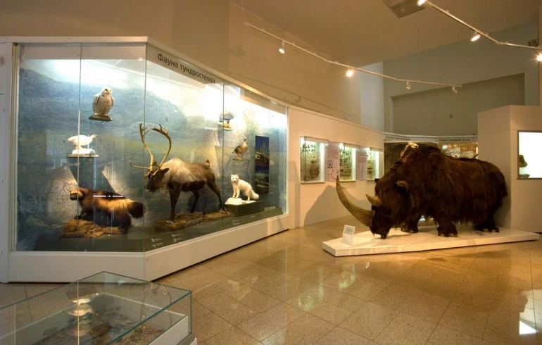 Исторический музей Южного Урала можно будет бесплатно посетить с 1 по 11 июля