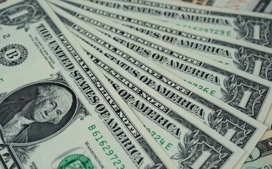 Экономист Казанцева предупредила об опасности хранения сбережений в долларах