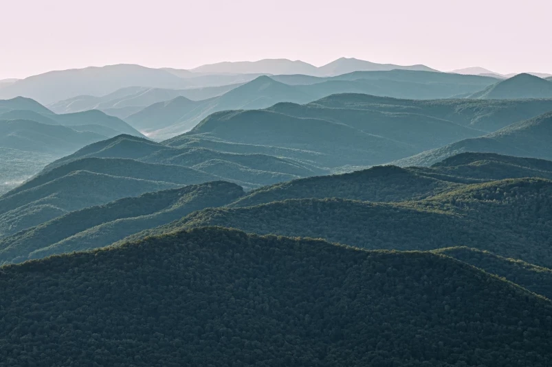 Что пробуждает интерес к истории Приморья: читателей приглашают принять участие в опросе