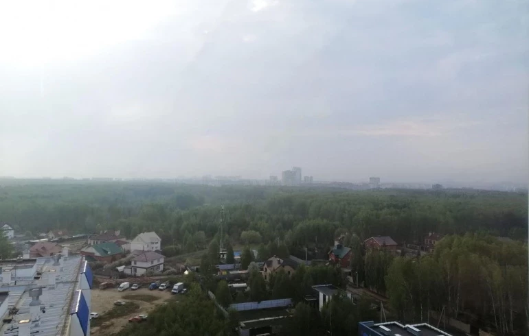 В Челябинскую область из соседних регионов вновь пришла дымка от лесных пожаров