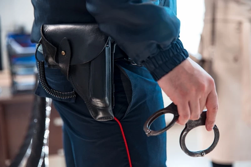 Сразу бросайте рубки: еще одну схему мошенников раскрыли в Приморье