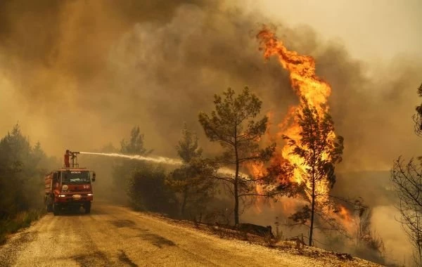 Турция сегодня, последние новости 31 июля о лесных пожаров: есть ли угроза для туристов, свежи подробности от 31.07.2023