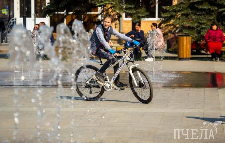 Челябинцев пригласили на семейный велопарад по городскому бору