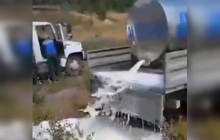 Южноуральцы пожаловались на скупщиков, которые выливают молоко на землю цистернами