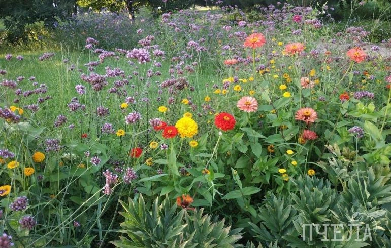 В Челябинской области на фоне жары до +33 градусов прогремят грозы с градом