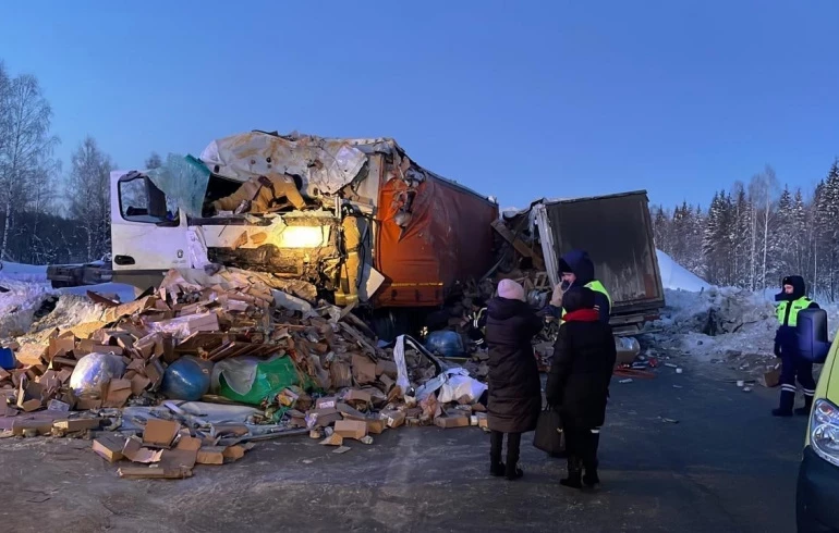 На Южном Урале водителю фуры вынесли приговор за смертельное ДТП