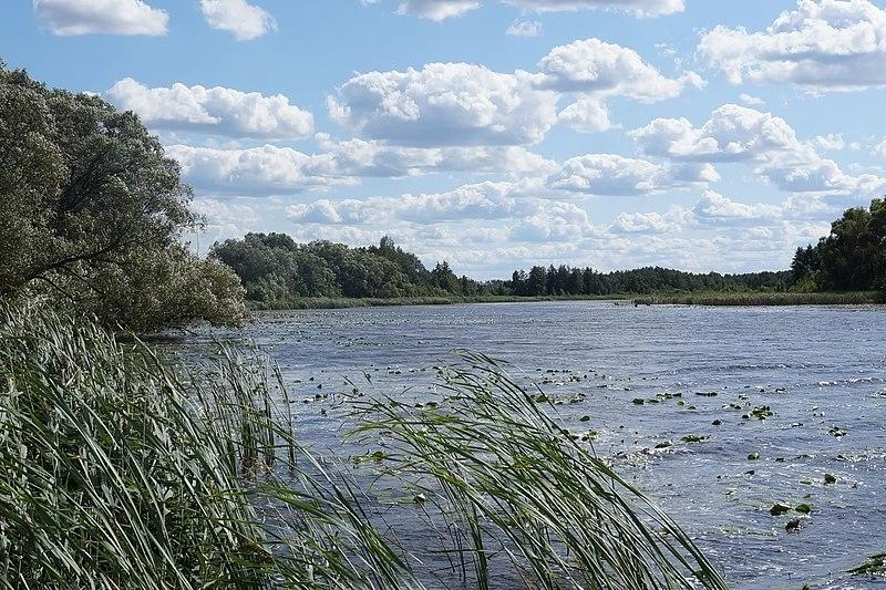 В Перми утонул 20-летний артист Семен Осокин-Портной
