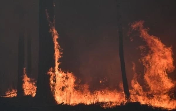 Лесные пожары в Свердловской области 13 июля, последние новости сегодня: огонь продолжает распространяться, свежие новости 13.07.2023