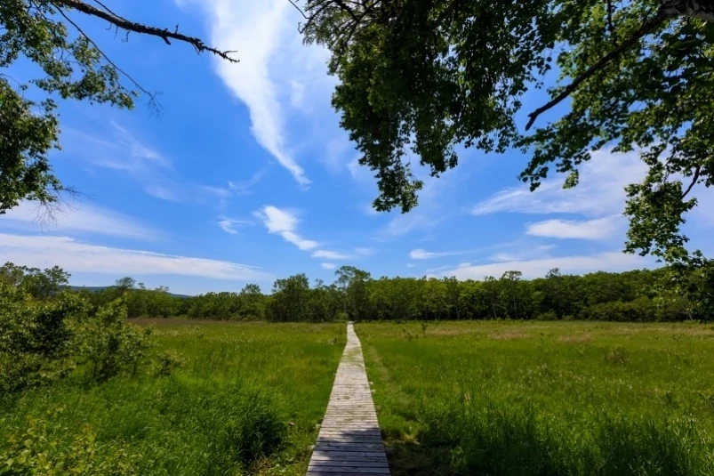Две экотропы, оборудованные при участии РусГидро, открыты в Саратовской области