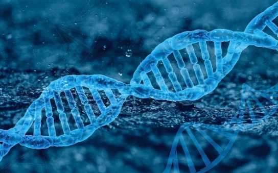 Nutrition: Гены определяют количество соли, рыбы и фруктов, употребляемых человеком