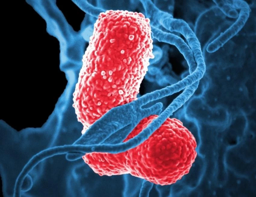 Ученые Сеченовского университета создали алгоритм для выявления рака за 10 лет до его появления