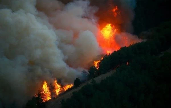Лесные пожары в Турции 25.07.2023, последние новости: угрожают ли пожары туристам, свежие данные для отдыхающих из РФ на 25 июля 2023 года