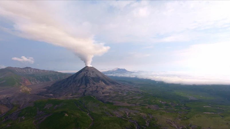 Камчатка может стать одним из самых “китовых” туристических мест России  