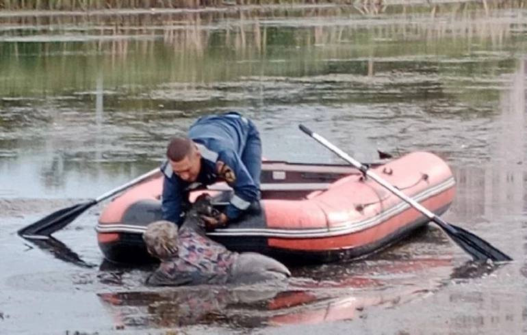 В Челябинске спасатели вытащили пенсионерку из болотной топи у озера Смолино