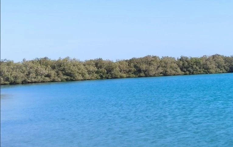 Спрос на туры в Египет в России остается стабильным