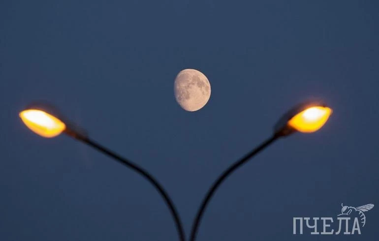 Дорожники похитили 51 млн при строительстве линии освещения на трассе М-5 в Челябинской области