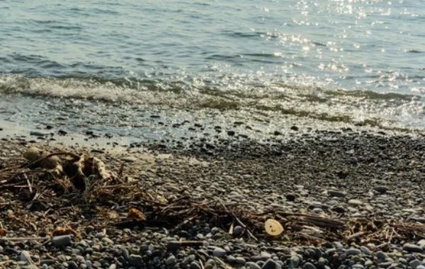 Туапсе сегодня, 20.07.2023, что происходит в Туапсинском районе: последние новости после наводнения, открыли пляжи или нет?