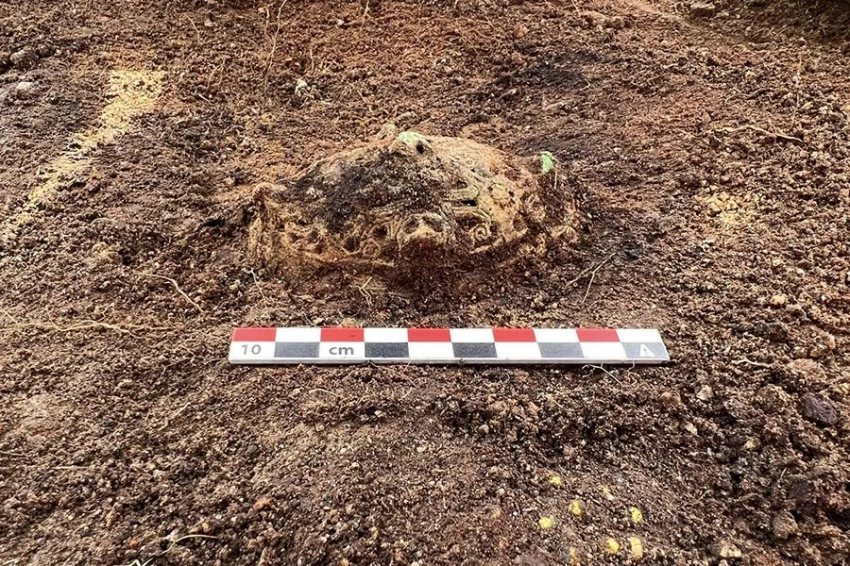 Обнаруженная в Норвегии могила викингов оказалась богаче, чем считалось