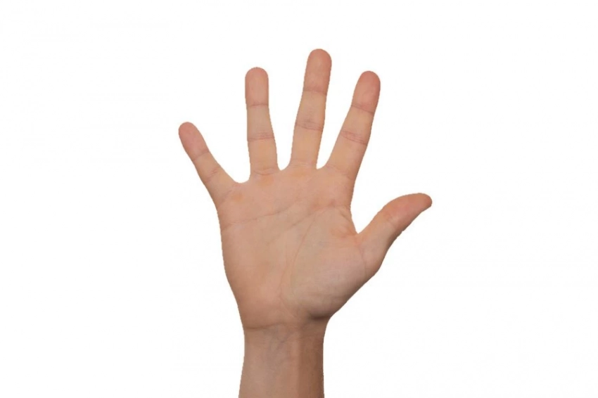 DailyMail: длина пальцев определяет уровень тестостерона