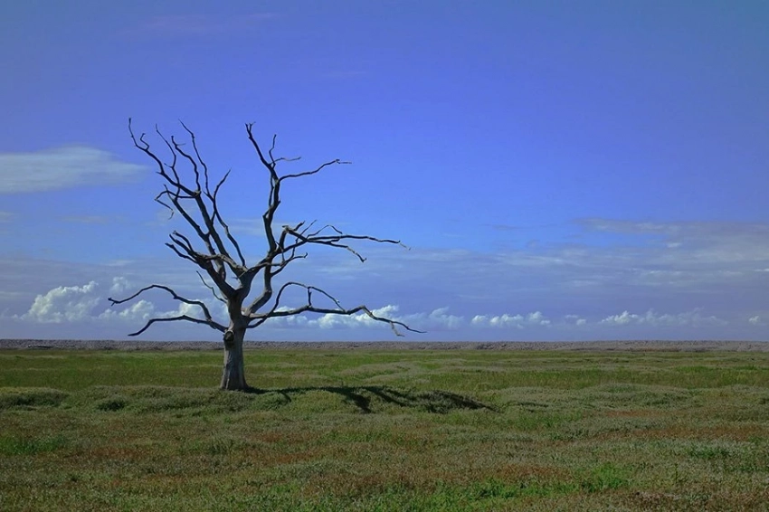 Изменение климата может повлиять на иммунную систему