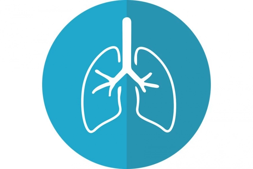 «Газета.ru»: в «Сириусе» подтвердили эффективность новой вакцины против туберкулеза