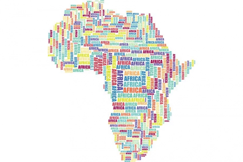 Визит Виктории Нуланд в Нигер к позитивным для США результатам не привёл