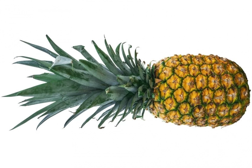 Polymers: из крахмала ананасовых стеблей создали упаковку для продуктов