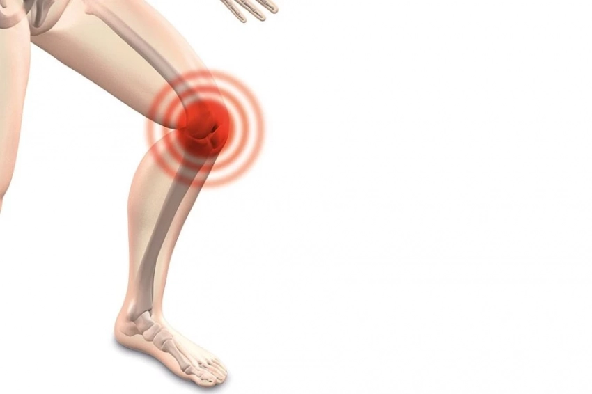 «Ридус»: в Белгородском университете выявляют остеоартроз на ранней стадии