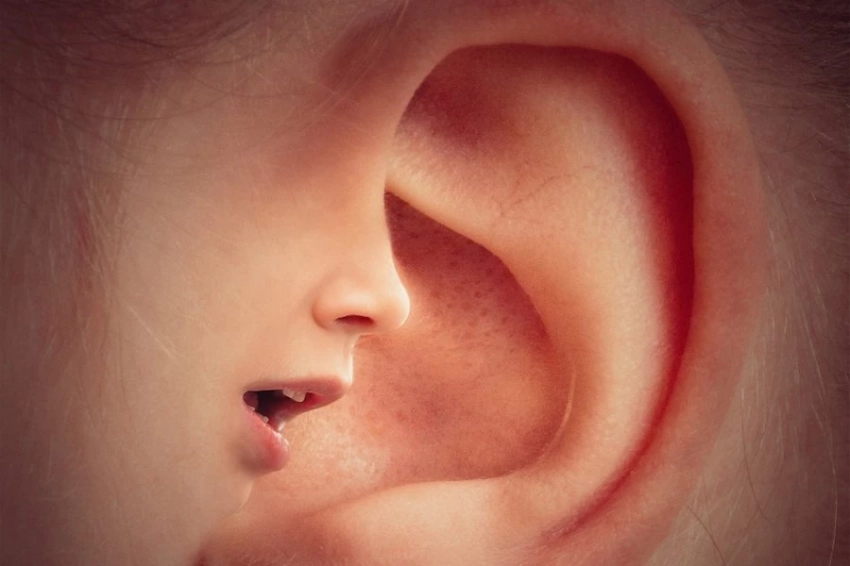 Медики РФ научились печатать на 3D-принтере аналог барабанной перепонки