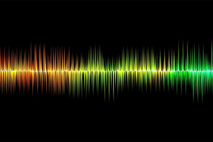 Израильские ученые предложили способ общения с животными с помощью ИИ